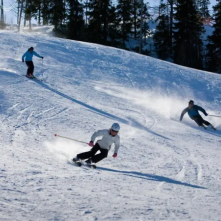 Kaisantien * Vuokatti